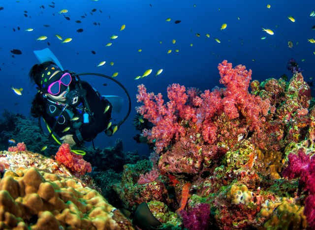 The Secret To Speeding Up Your PADI Certification