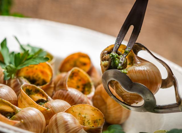 snails or Escargots in the South of France