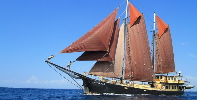 Adelaar yacht charter Staadskanal Shipyards Motor/Sailer Yacht
                                