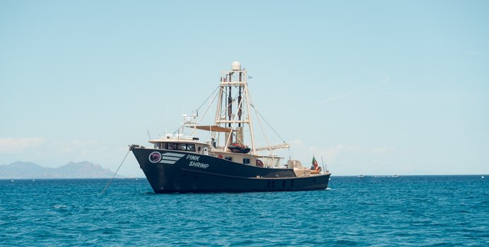 Pink Shrimp Yacht Charter in Mallorca