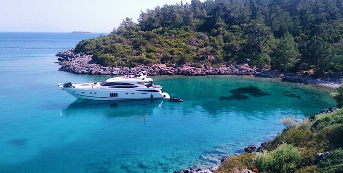 Via yacht charter Princess Motor Yacht
                                