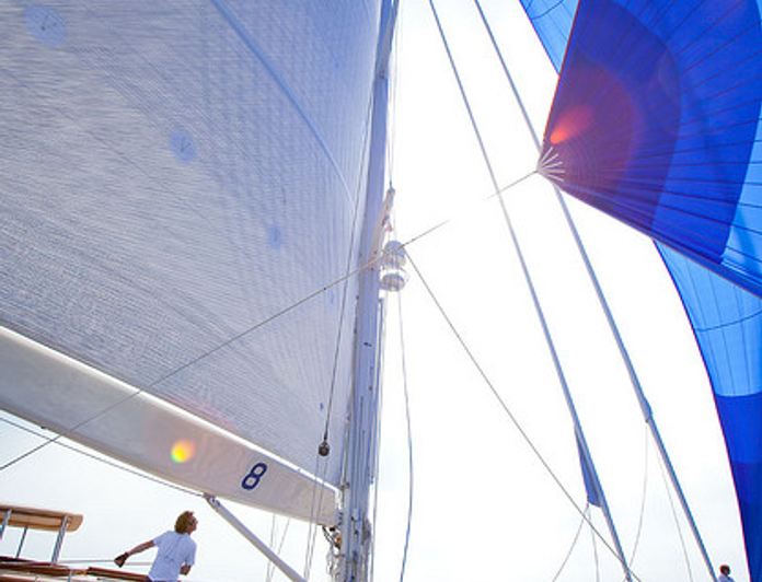 Atalante photo 18