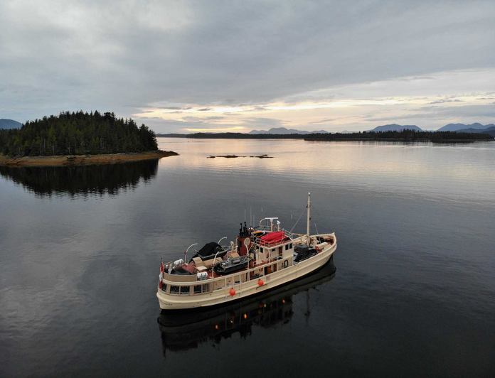 Pacific Yellowfin photo 7