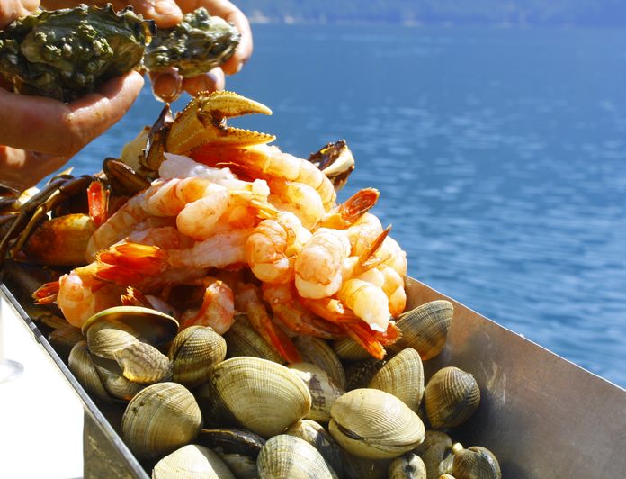 Pacific Yellowfin photo 49