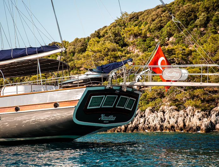 Nautilus photo 13