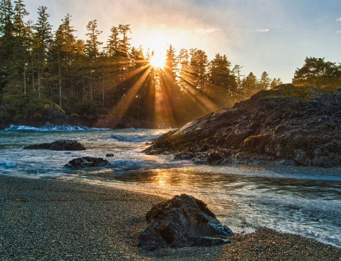 Pacific Yellowfin photo 72