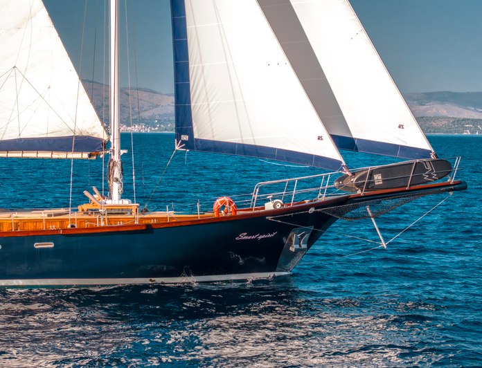 Smart Spirit 1 photo 7