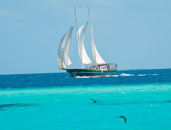 Dream Voyager photo 18