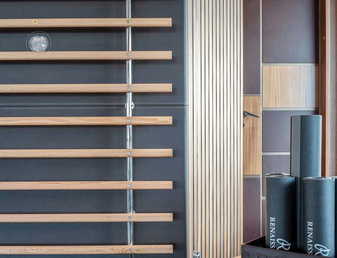 Renaissance photo 18