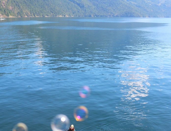 Pacific Yellowfin photo 67