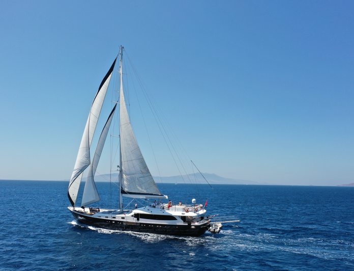 Canaria photo 37