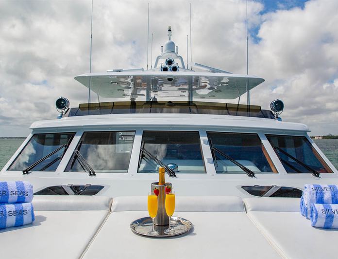 Silver Seas photo 25