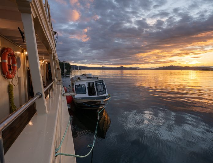 Pacific Yellowfin photo 31