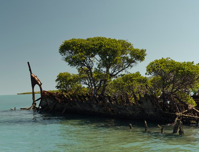 Flying Fish photo 13