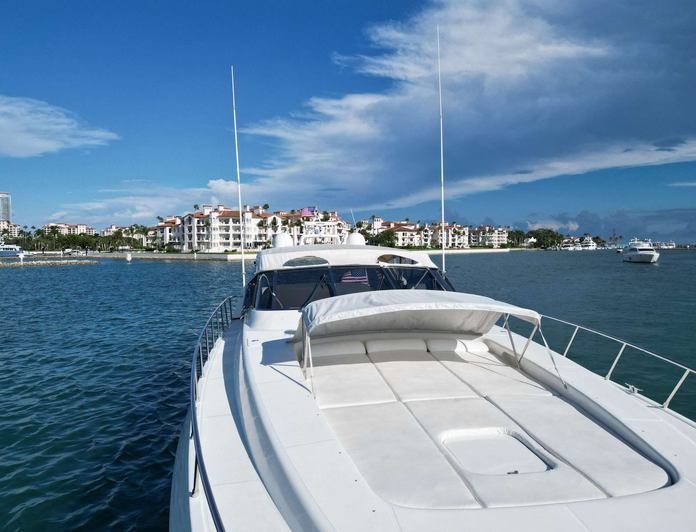 The Gorilla photo 12