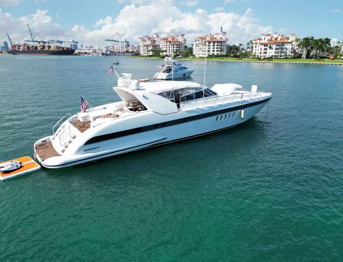 The Gorilla photo 19