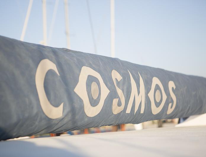 Cosmos photo 43
