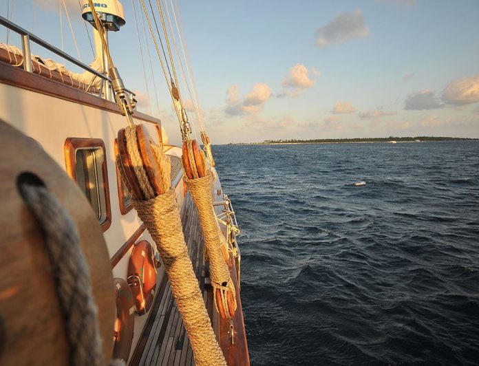 Dream Voyager photo 13