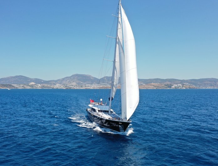 Canaria photo 36