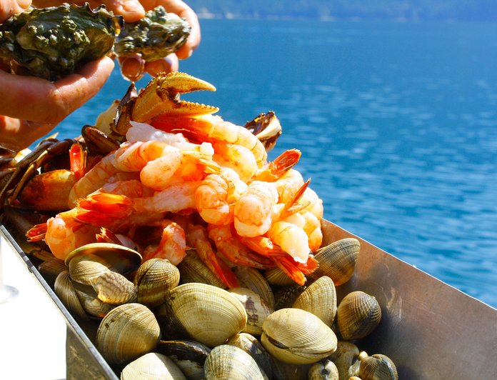 Pacific Yellowfin photo 55