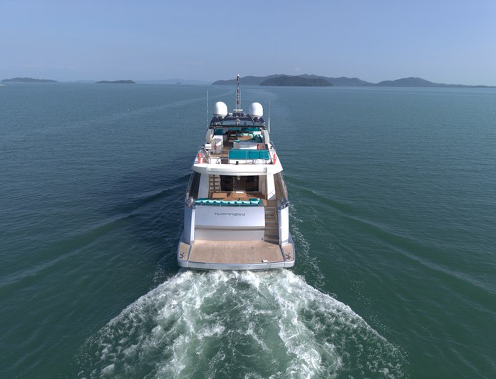 Hummingbird photo 42