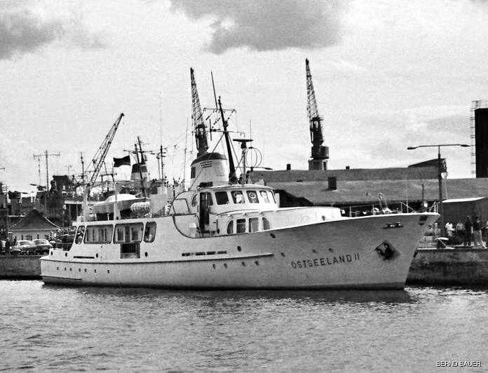 Red Sea Magic photo 6