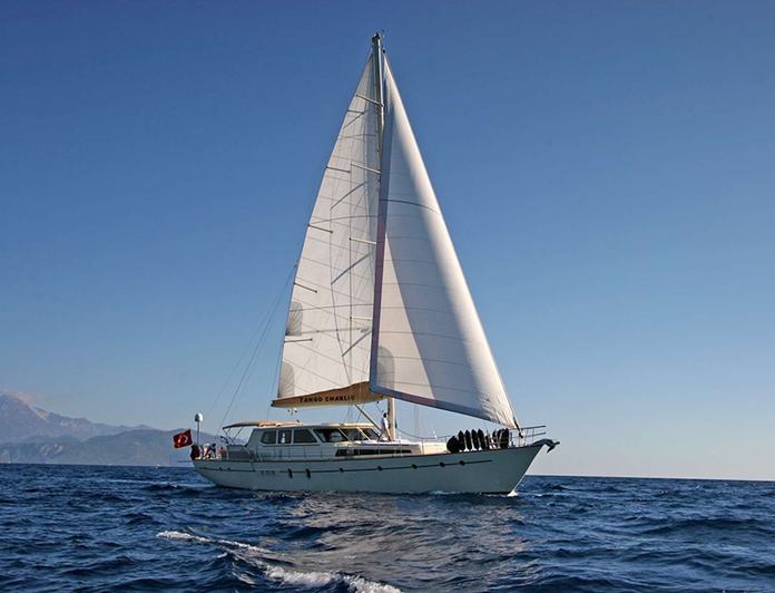 Tango Charlie photo 19