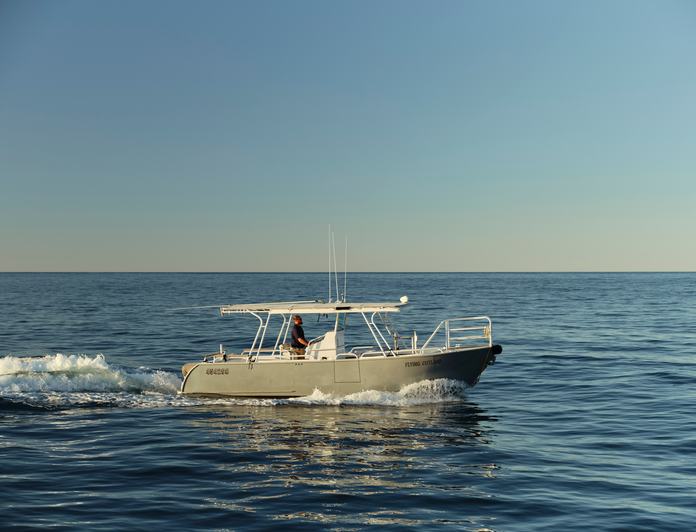 Flying Fish photo 85