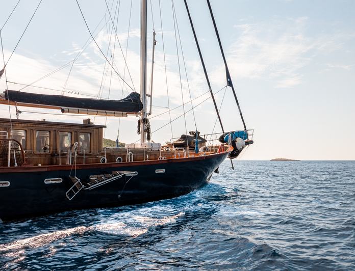 Smart Spirit 1 photo 13