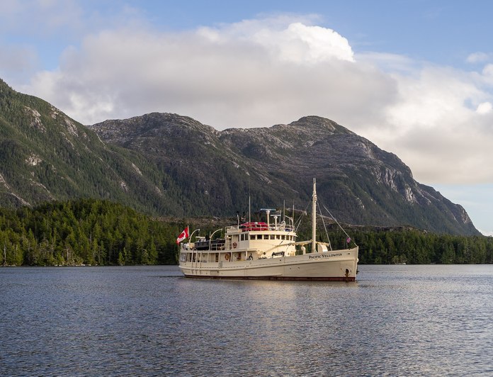 Pacific Yellowfin photo 6