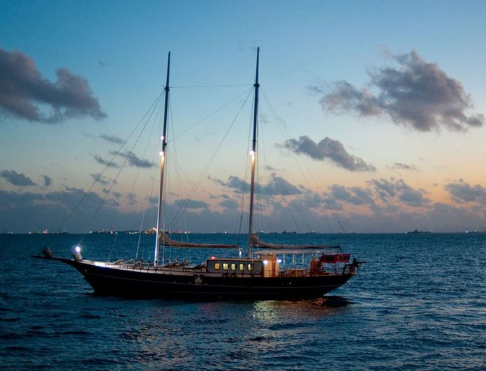 Dream Voyager photo 12