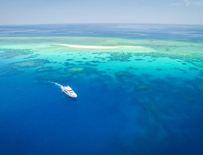 Flying Fish photo 66