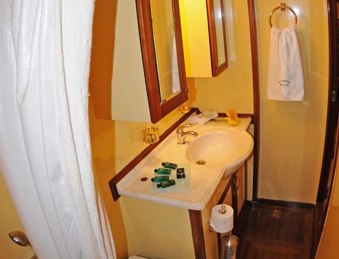 Gacela photo 37