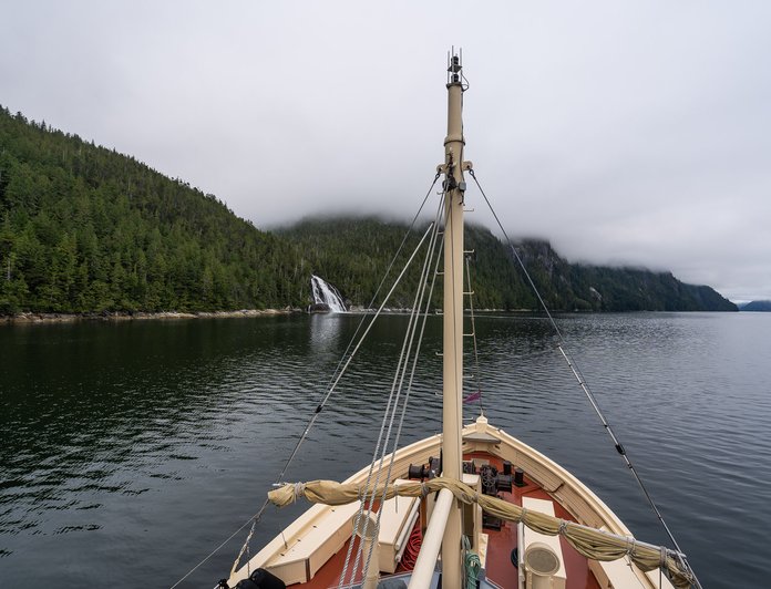 Pacific Yellowfin photo 78