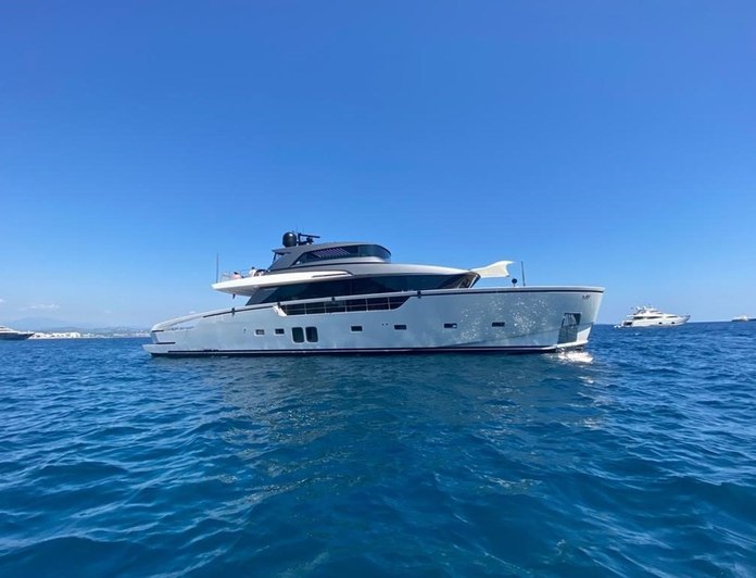 Dragonfly I photo 12