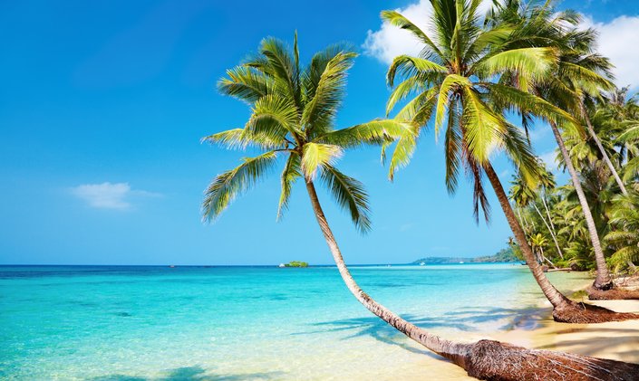 Family charters in SE Asia