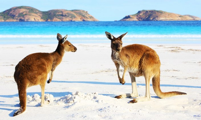 Australia Seeks to Attract More Superyacht Charters