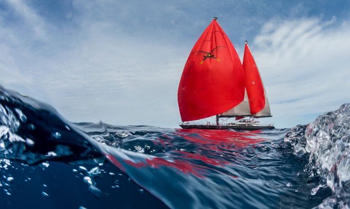 S/Y SEAHAWK offers Caribbean charter deal