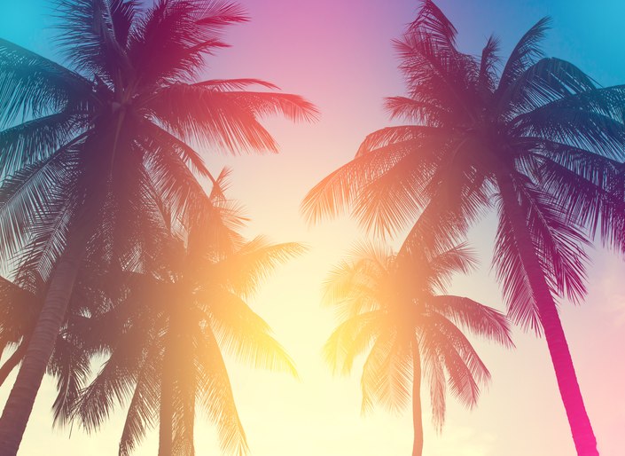 6 of the Best Things to do on a Miami Yacht Charter