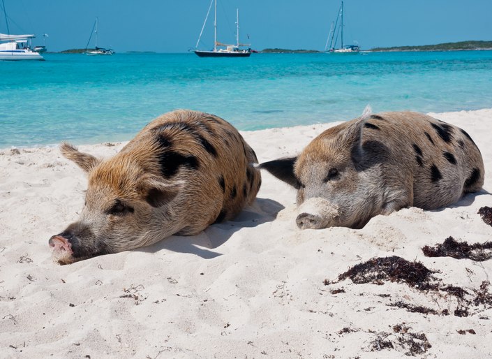 The Best Secluded Anchorages in the Bahamas 