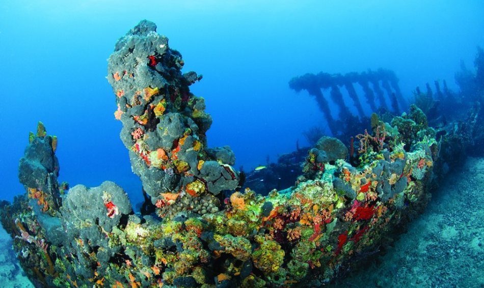 10 Top Dive Sites In The Caribbean Image 1