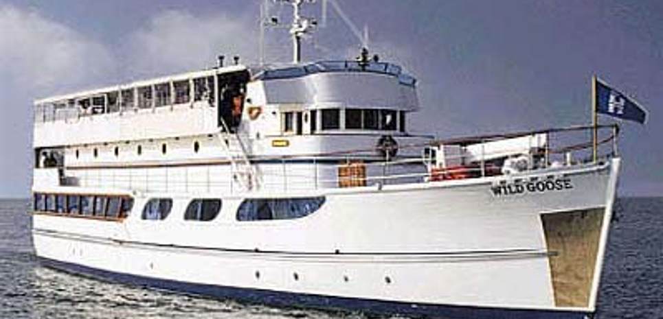 Wild Goose Charter Yacht