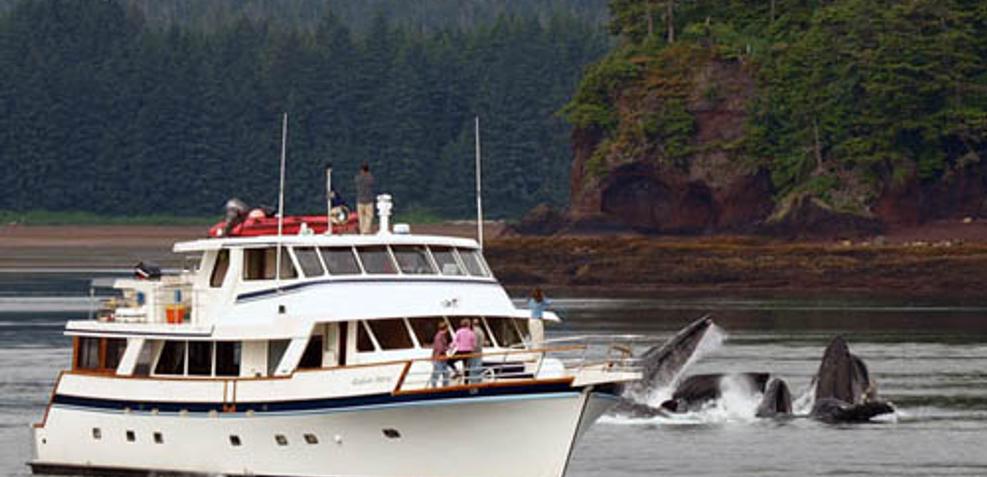 Alaskan Story Charter Yacht